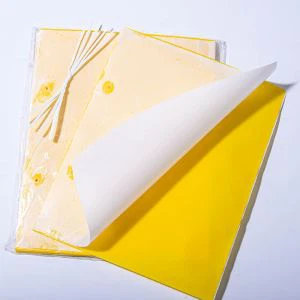 Yellow Sticky gildrur